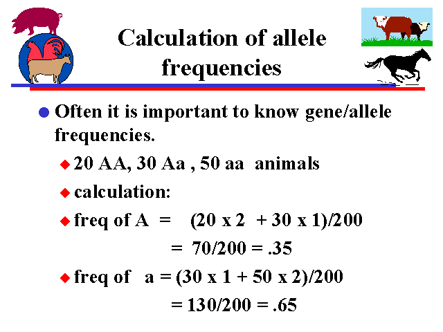 calculation-of-allele