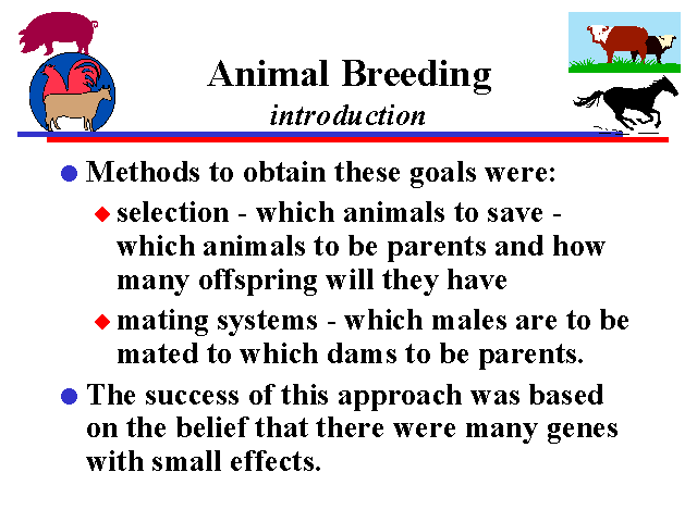 animal-breeding