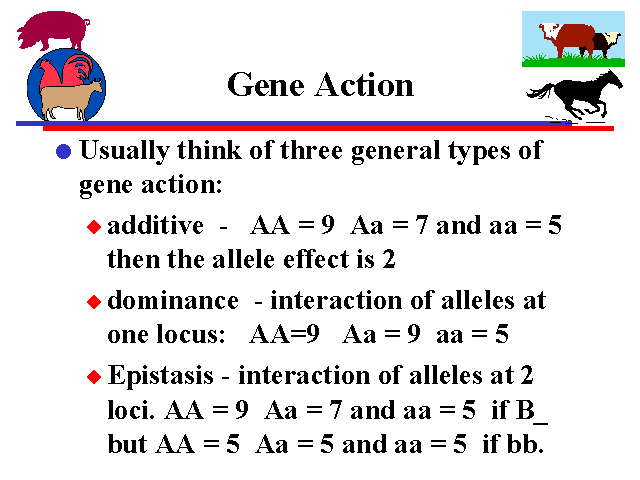 Gene Action