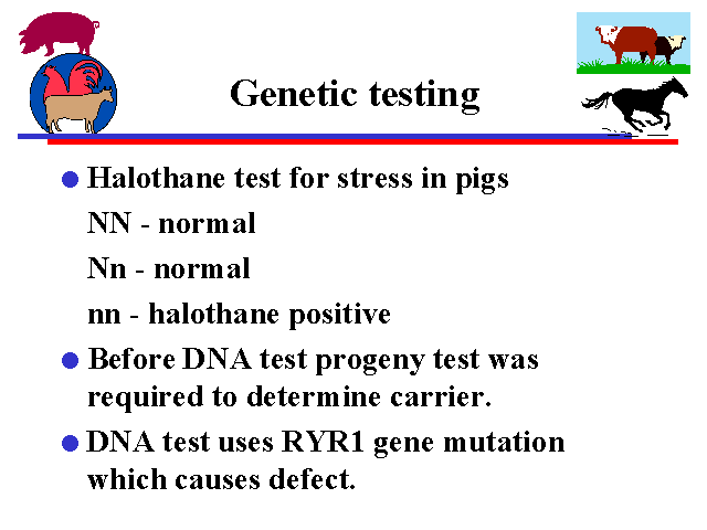 Genetic Testing