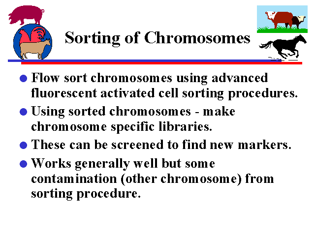 Sorting Of Chromosomes